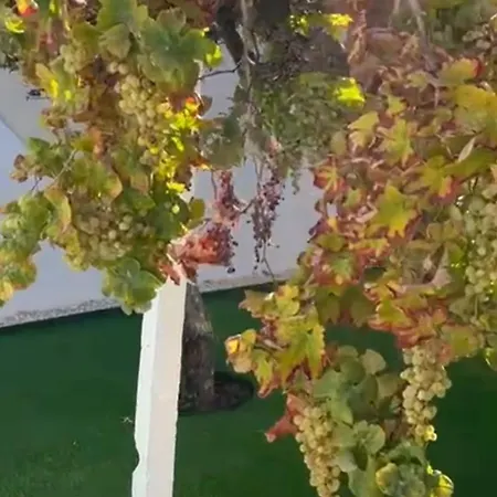 Family-friendly With Private Pool & Rooftop Oasis *